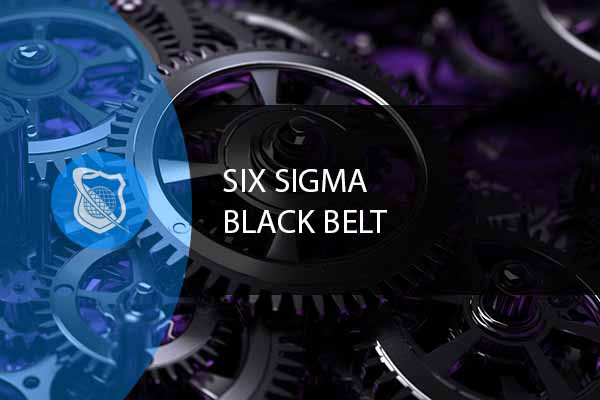 Six Sigma Black Belt Training