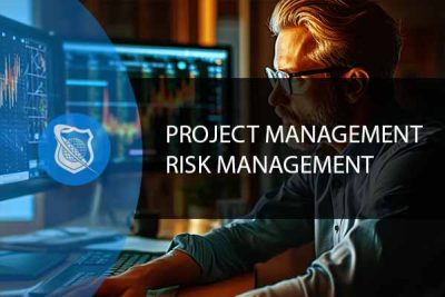 Risk Management Professional